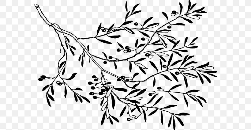 Olive Branch Clip Art, PNG, 600x424px, Branch, Area, Black, Black And White, Drawing Download Free
