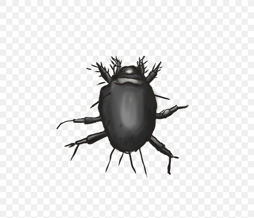 The Feather Pillow Cushion Couple Moulting, PNG, 600x704px, Feather Pillow, Animal, Arthropod, Beetle, Character Structure Download Free