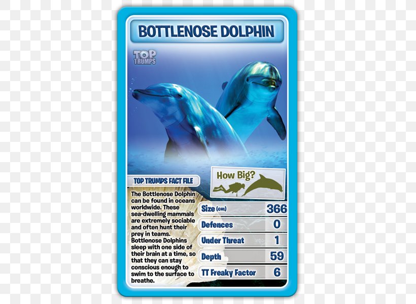Dolphin Winning Moves Top Trumps Card Game, PNG, 600x600px, Dolphin, Animal, Blue, Card Game, Collectable Trading Cards Download Free