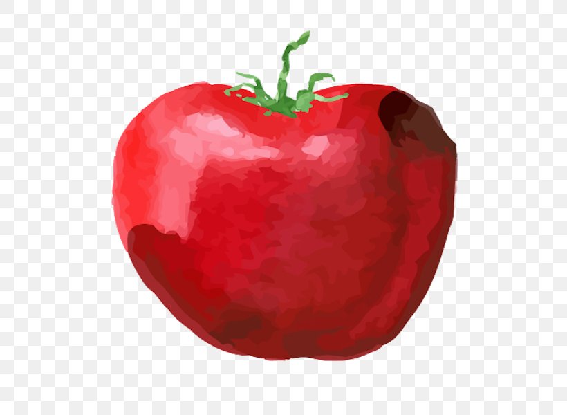 Tomato Cartoon, PNG, 600x600px, Bell Pepper, Accessory Fruit, Apple, Barbados Cherry, Bell Peppers And Chili Peppers Download Free