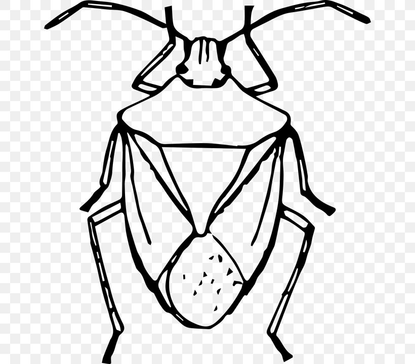 Beetle Brown Marmorated Stink Bug Drawing Clip Art, PNG, 646x720px, Beetle, Arthropod, Artwork, Black, Black And White Download Free