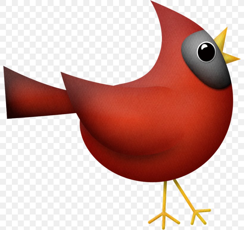 Cardinal Bird, PNG, 800x772px, Bird, Animal, Beak, Bird Houses, Birdwatching Download Free