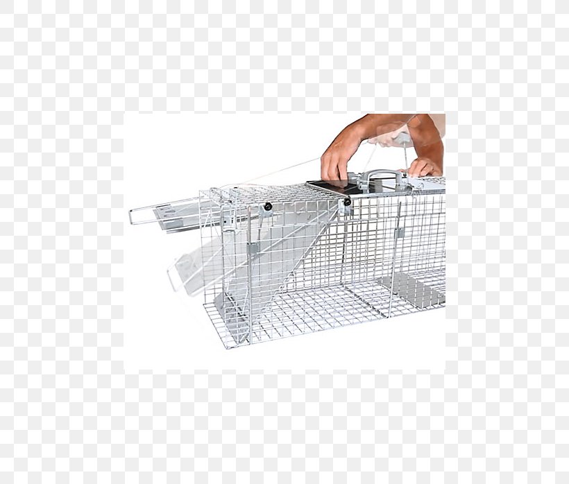 Trapping Raccoon Cage Door Mousetrap, PNG, 698x698px, Trapping, Cage, Door, Fish Trap, Handle Download Free