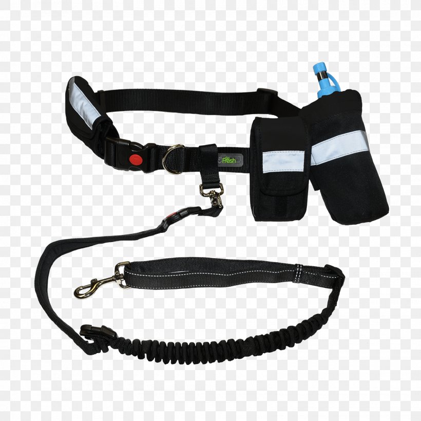 Belt Dog Collar Leash Dog Harness, PNG, 1600x1600px, Belt, Bungee Cords, Bungee Jumping, Bungee Trampoline, Canicross Download Free
