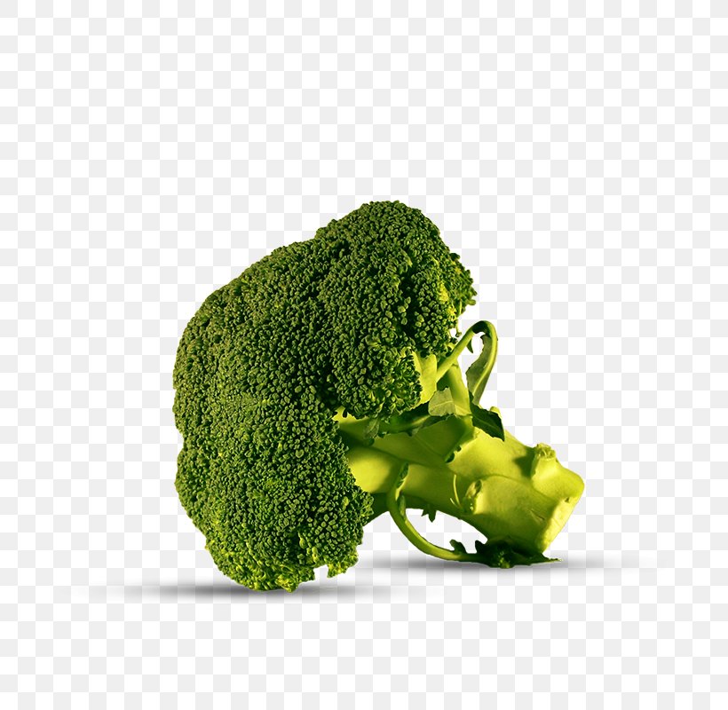 Broccoli Vegetable Brassica Oleracea Var. Italica Iceberg Lettuce Timon & Pumbaa Les Globe-Trotters, PNG, 800x800px, Broccoli, Brassica Oleracea Var Italica, Food, Gram, Iceberg Lettuce Download Free