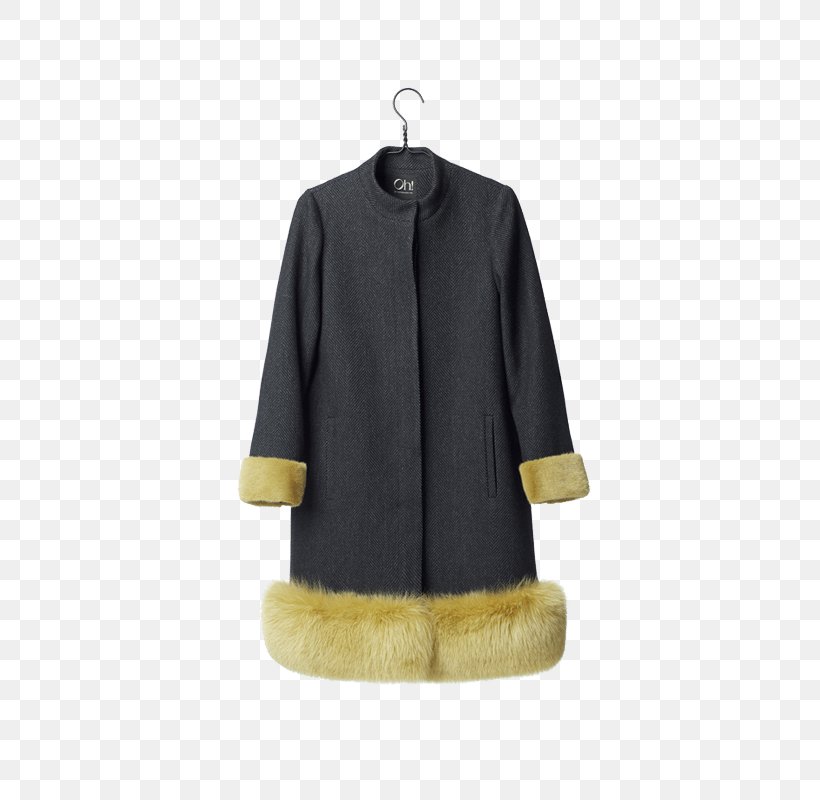 Coat, PNG, 800x800px, Coat, Fur, Outerwear, Sleeve Download Free