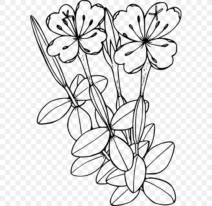 Coloring Book Floral Design Wildflower Clip Art, PNG, 585x800px, Coloring Book, Area, Art, Black And White, Branch Download Free