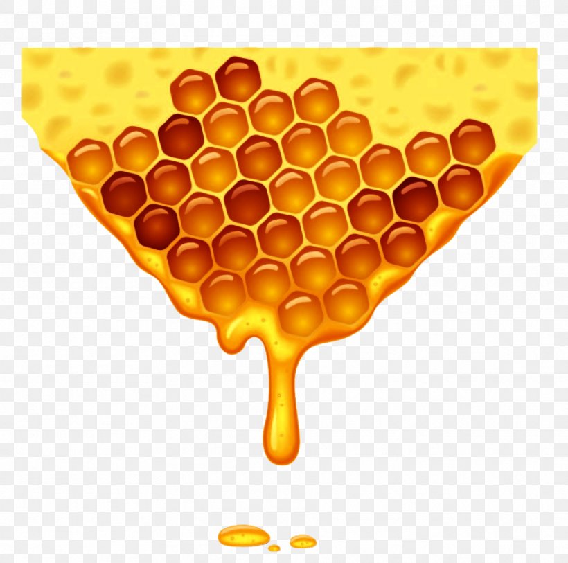 Honey Bee Honeycomb, PNG, 935x928px, Bee, Beehive, Beekeeping, Hexagon, Honey Download Free
