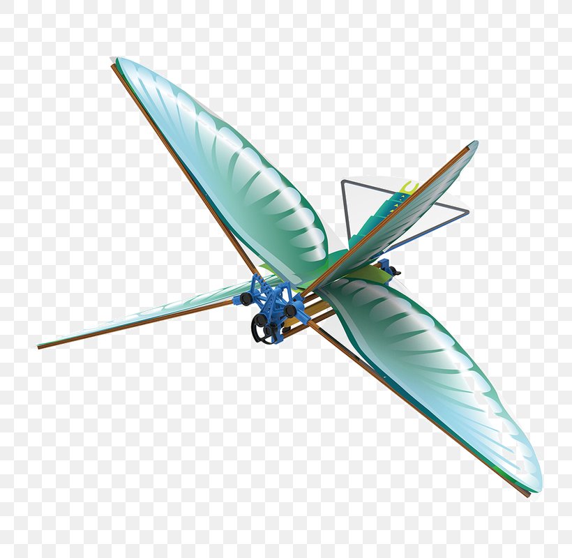 Insect Wing Ornithopter Bird Flight, PNG, 800x800px, Insect, Airplane, Bat, Bird, Bird Flight Download Free
