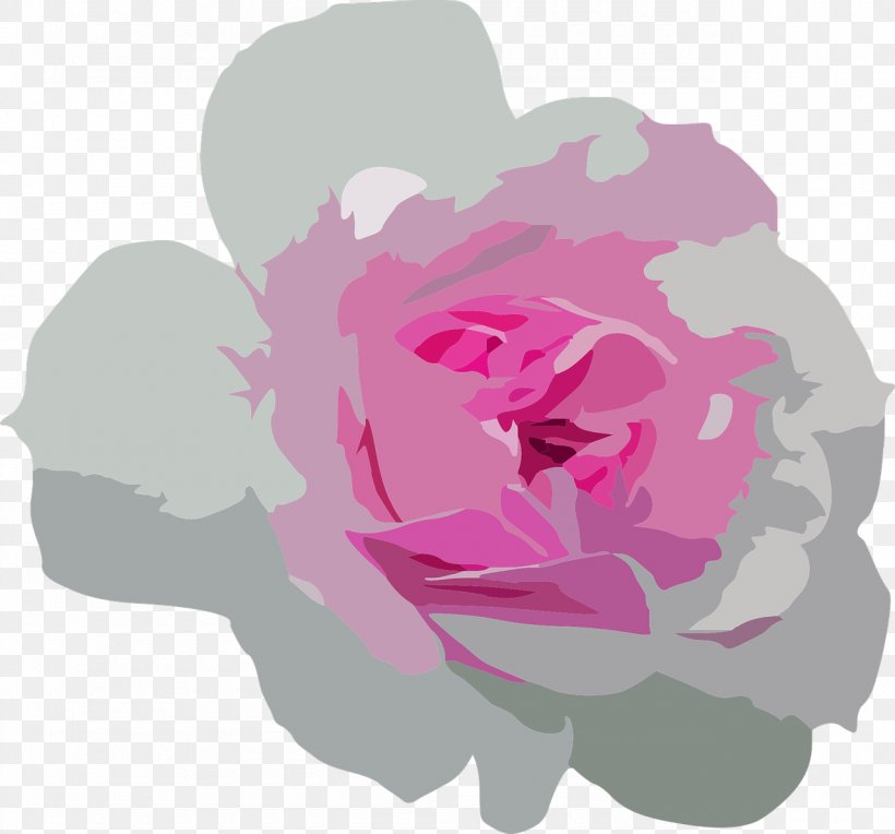 Petal Flower Garden Roses Centifolia Roses, PNG, 1280x1194px, Petal, Beach Rose, Blume, Centifolia Roses, Floral Design Download Free