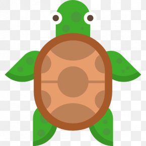 Turtle Images, Turtle Transparent Png, Free Download