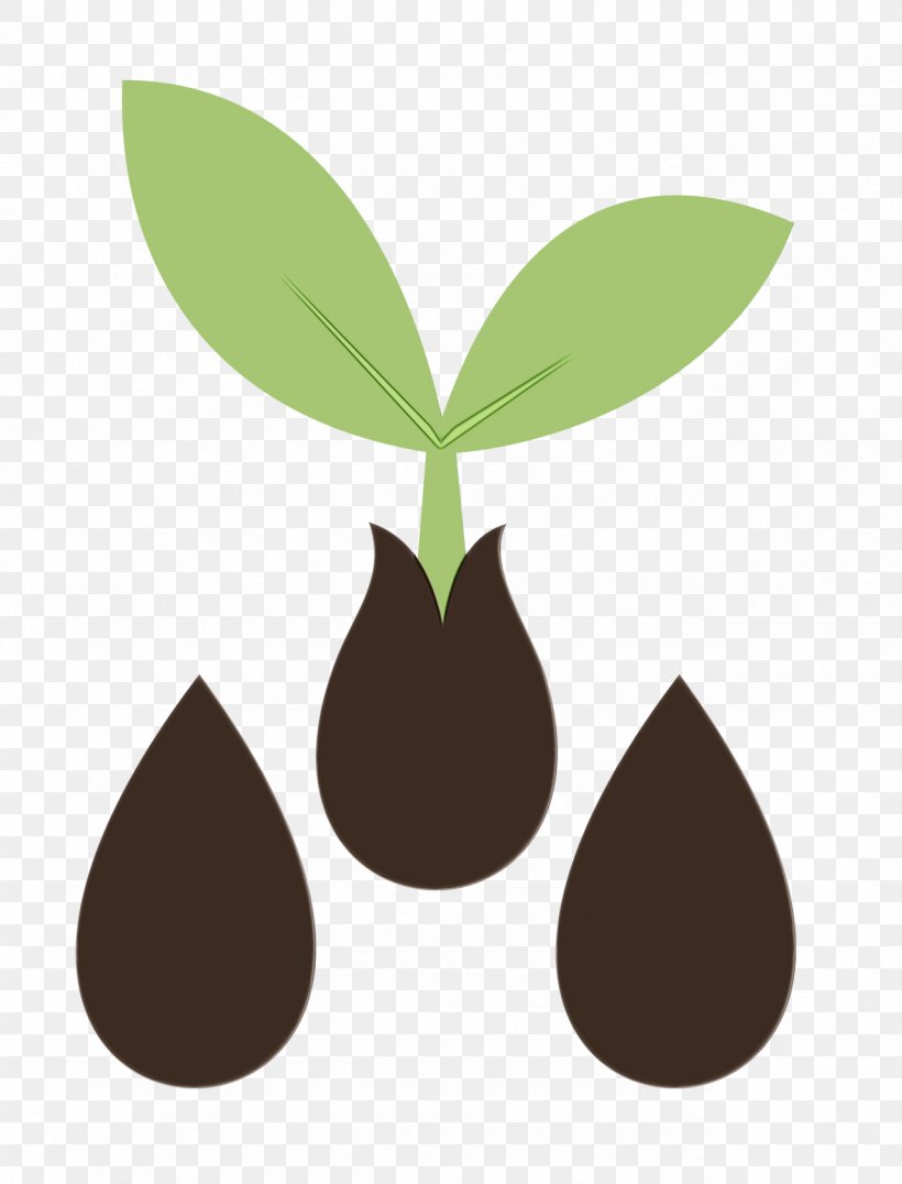 Clip Art Vector Graphics Seed Image, PNG, 1280x1680px, Seed, Flower, Germination, Leaf, Logo Download Free