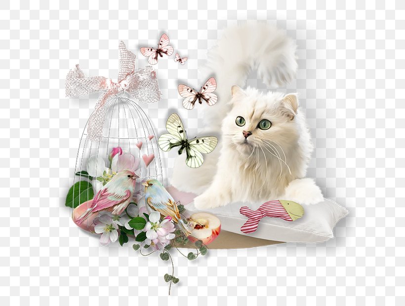 .de Clip Art, PNG, 654x620px, Quotation, Animation, Carnivoran, Cat, Cat Like Mammal Download Free