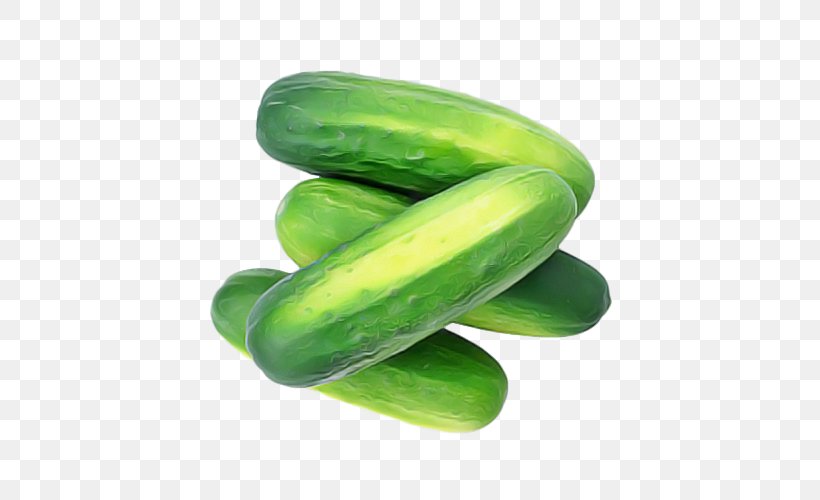 Green Cucumber Vegetable Cucumis Plant, PNG, 500x500px, Green, Cucumber, Cucumber Gourd And Melon Family, Cucumis, Food Download Free