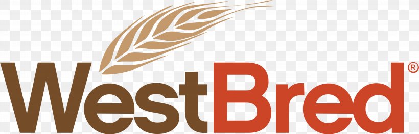 Havre Westfield Agriculture Seed Wheat, PNG, 4358x1402px, Westfield, Agriculture, Brand, Business, Chs Inc Download Free