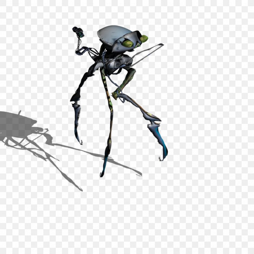 Insect Headgear Line Pest, PNG, 894x894px, Insect, Arthropod, Headgear, Invertebrate, Membrane Winged Insect Download Free