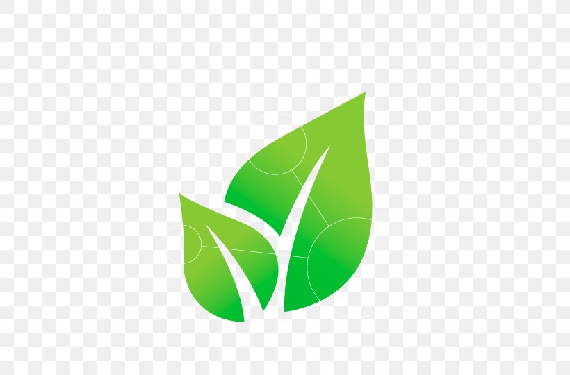 Logo Green Leaf Font Plant, PNG, 540x540px, Logo, Green, Leaf, Plant Download Free