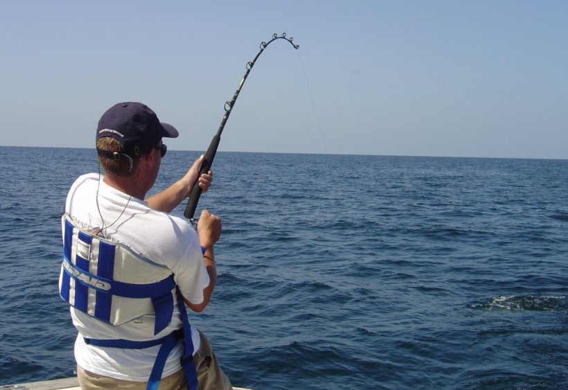 Recreational Fishing Fishing Rods Angling Fishing Reels, PNG, 1238x850px, Fishing, Angling, Bass Fishing, Casting Fishing, Fisherman Download Free