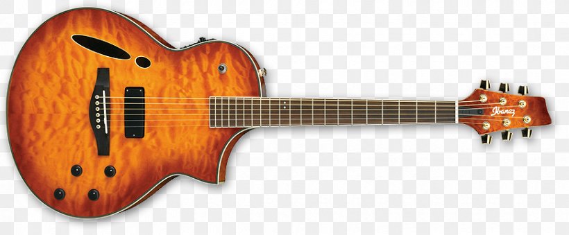 Sunburst ESP Guitars PRS Guitars Electric Guitar, PNG, 870x360px, Sunburst, Acoustic Electric Guitar, Acoustic Guitar, Bass Guitar, Chet Atkins Download Free