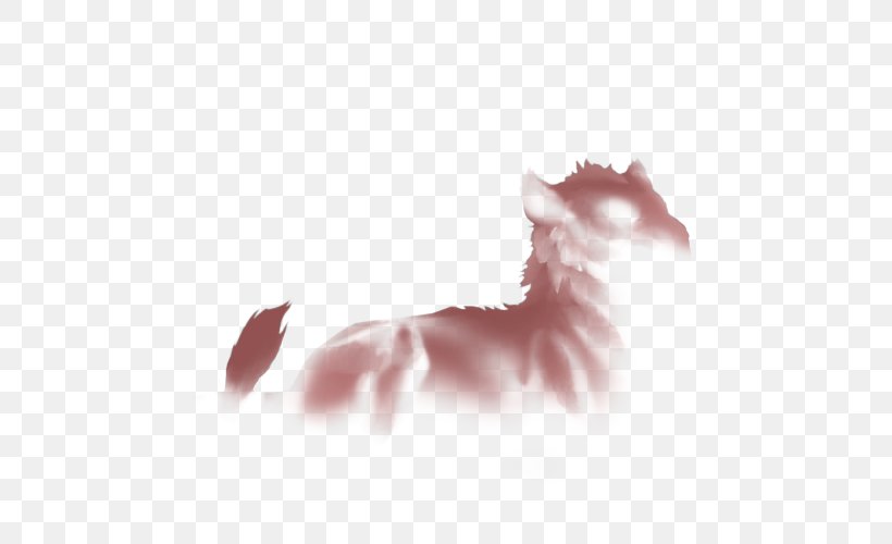 Whiskers Kitten Dog Snout Paw, PNG, 640x500px, Whiskers, Canidae, Carnivoran, Cat, Cat Like Mammal Download Free