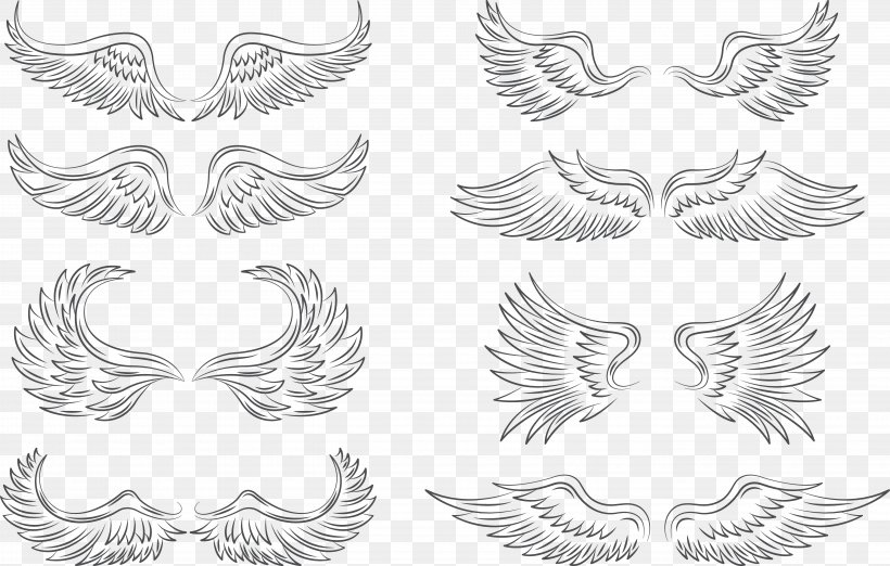 Wing Feather Icon, PNG, 5492x3501px, Wing, Angel Wing, Black And White, Computer Graphics, Creativity Download Free