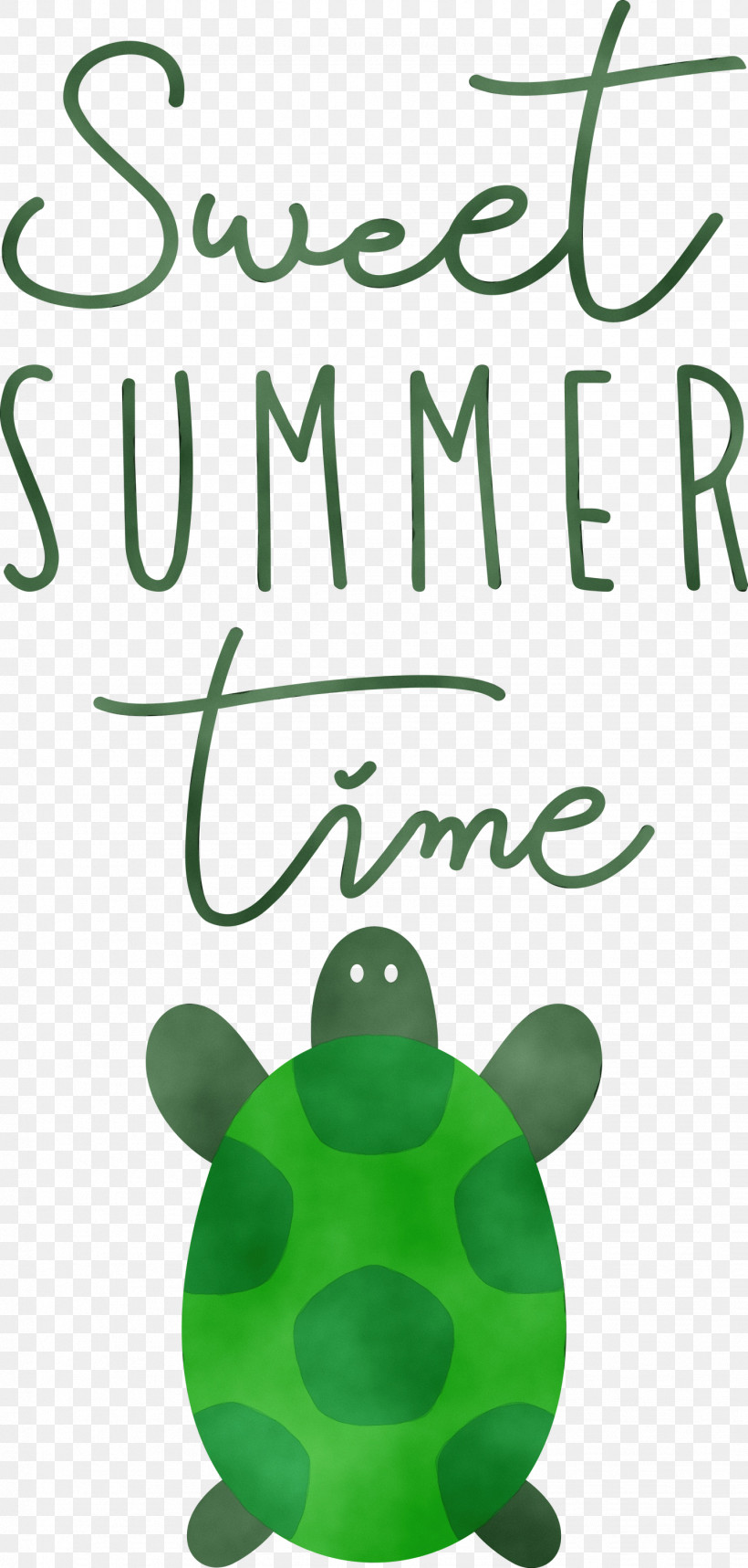 Amphibians Frogs Meter Font Tree, PNG, 1432x3000px, Summer, Amphibians, Biology, Frogs, Meter Download Free
