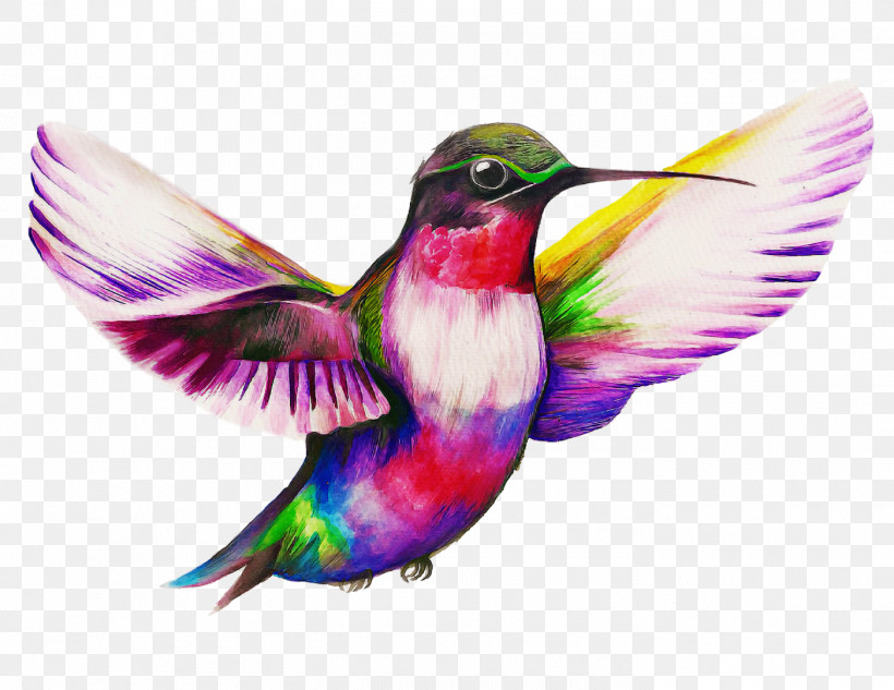 Hummingbird, PNG, 1400x1082px, Bird, Beak, Feather, Hummingbird, Pollinator Download Free