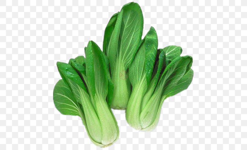 Komatsuna Choy Sum Organic Food Leaf Vegetable Chinese Cabbage, PNG, 500x500px, Komatsuna, Bok Choy, Brassica Rapa, Capitata Group, Chinese Cabbage Download Free