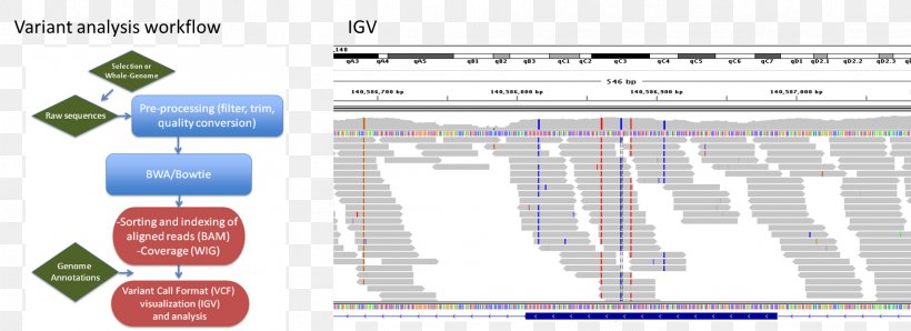 Massive Parallel Sequencing DNA Sequencing Phylogenetics Nucleic Acid Sequence Consensus Sequence, PNG, 1912x696px, Massive Parallel Sequencing, Area, Cladogram, Consensus Sequence, Coverage Download Free