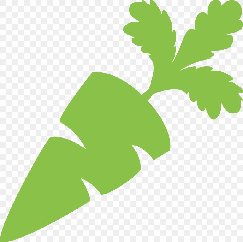 Carrot Root Vegetables Leaf Vegetable, PNG, 1600x1600px, Carrot, Branch, Drink, Flora, Flower Download Free