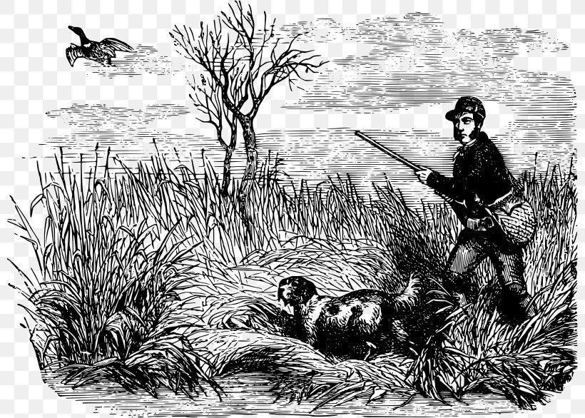 Duck Waterfowl Hunting Clip Art, PNG, 800x586px, Duck, Beak, Bird, Black And White, Copyright Download Free