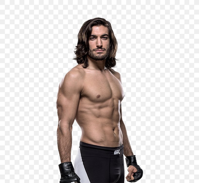 Elias Theodorou The Ultimate Fighter UFC, PNG, 504x755px, Watercolor, Cartoon, Flower, Frame, Heart Download Free