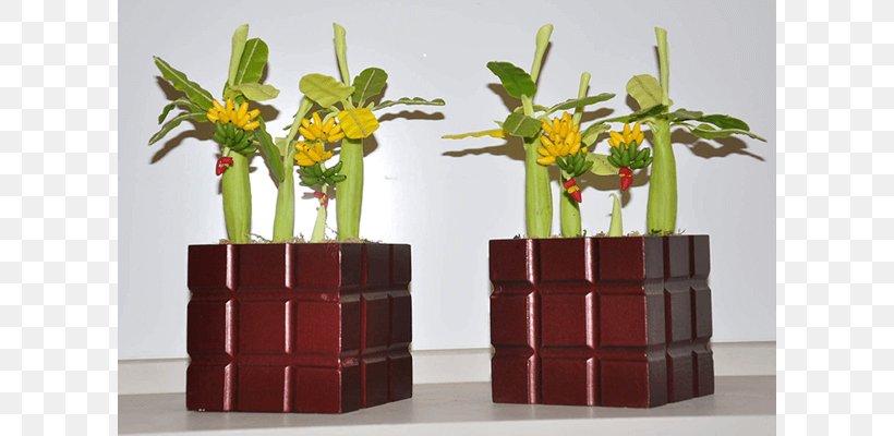 Floral Design Vase, PNG, 800x400px, Floral Design, Floristry, Flower, Flowerpot, Table Download Free