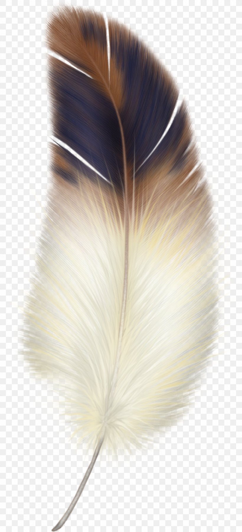 Feather Bird Clip Art, PNG, 888x1950px, Feather, Bird, Fur, Material Download Free