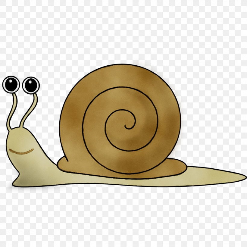 Gastropods Destination Gratte-ciel Snail Cartoon Slug, PNG, 1024x1024px, Watercolor, Biology, Cartoon, Gastropods, Mollusca Download Free