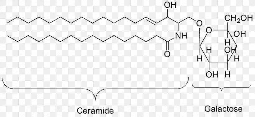 Lipid Organic Compound Organic Matter Organism Biology, PNG, 1237x570px, Lipid, Area, Auto Part, Biology, Black And White Download Free