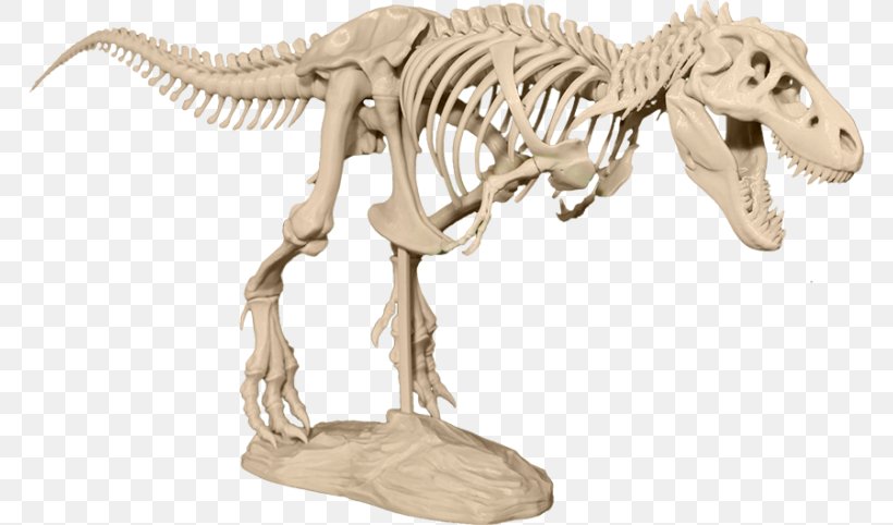 Tyrannosaurus 3D Printing Skeleton Skull Sue, PNG, 768x482px, 3d Modeling, 3d Printing, Tyrannosaurus, Animal Figure, Dinosaur Download Free