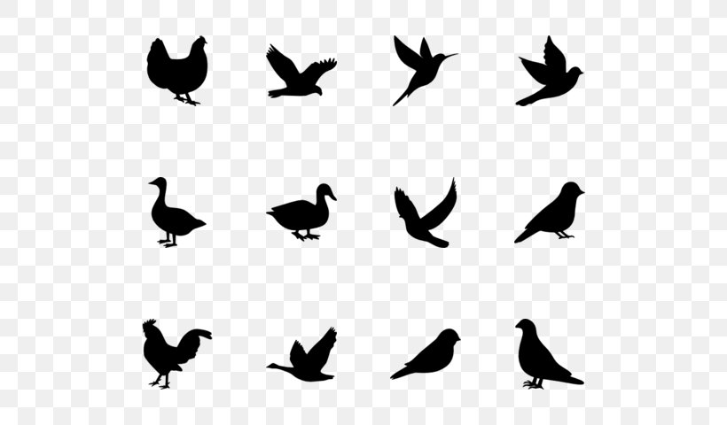 Water Bird Beak Black Silhouette, PNG, 560x480px, Bird, Beak, Black, Black And White, Color Download Free