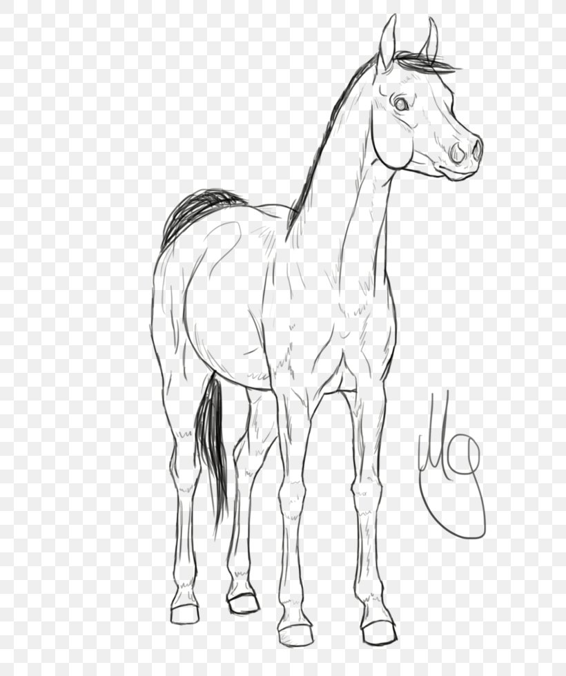Mule Mustang Foal Colt Stallion, PNG, 816x979px, Mule, Animal, Animal Figure, Artwork, Black And White Download Free