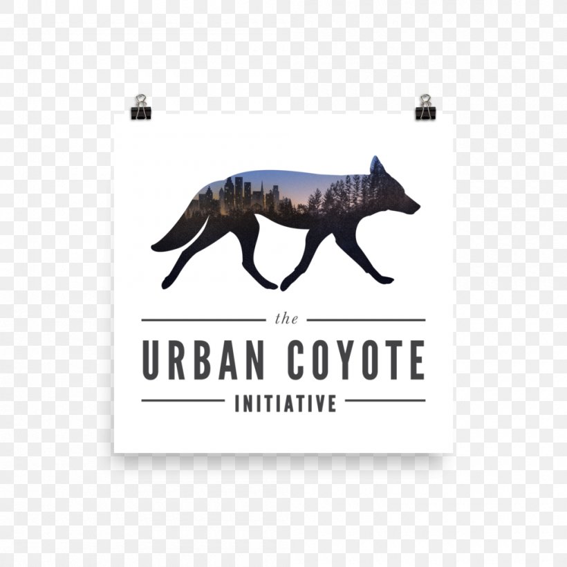 Sky Coyote Canidae Dog Urban Coyote, PNG, 1000x1000px, Coyote, Animal, Brand, Canidae, Carnivoran Download Free