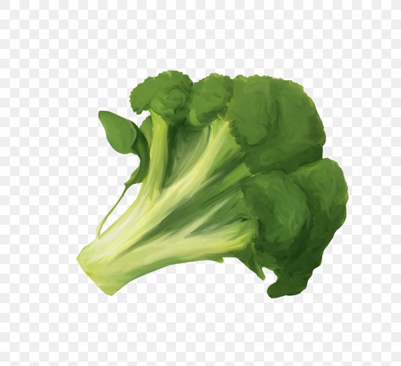 Vegetable Broccoli Fruit Cauliflower Food, PNG, 1024x936px, Vegetable, Bean, Broccoli, Cabbage, Carrot Download Free