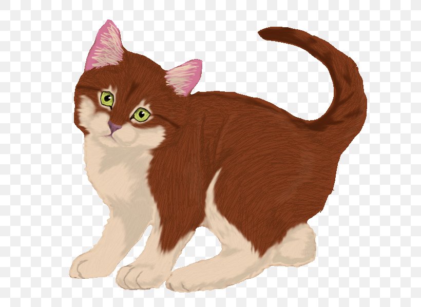 American Wirehair Manx Cat European Shorthair Kitten Whiskers, PNG, 651x598px, American Wirehair, Abyssinian Cat, Animal, Art, Carnivoran Download Free