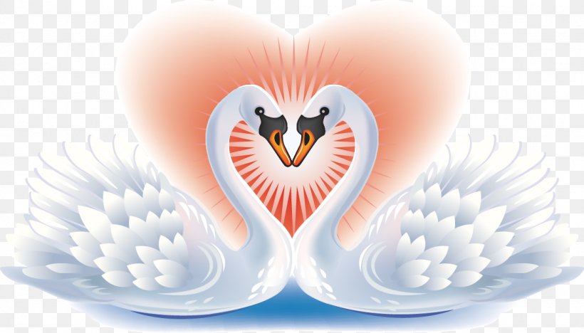 Black Swan Bird Heart Clip Art, PNG, 1128x645px, Watercolor, Cartoon, Flower, Frame, Heart Download Free