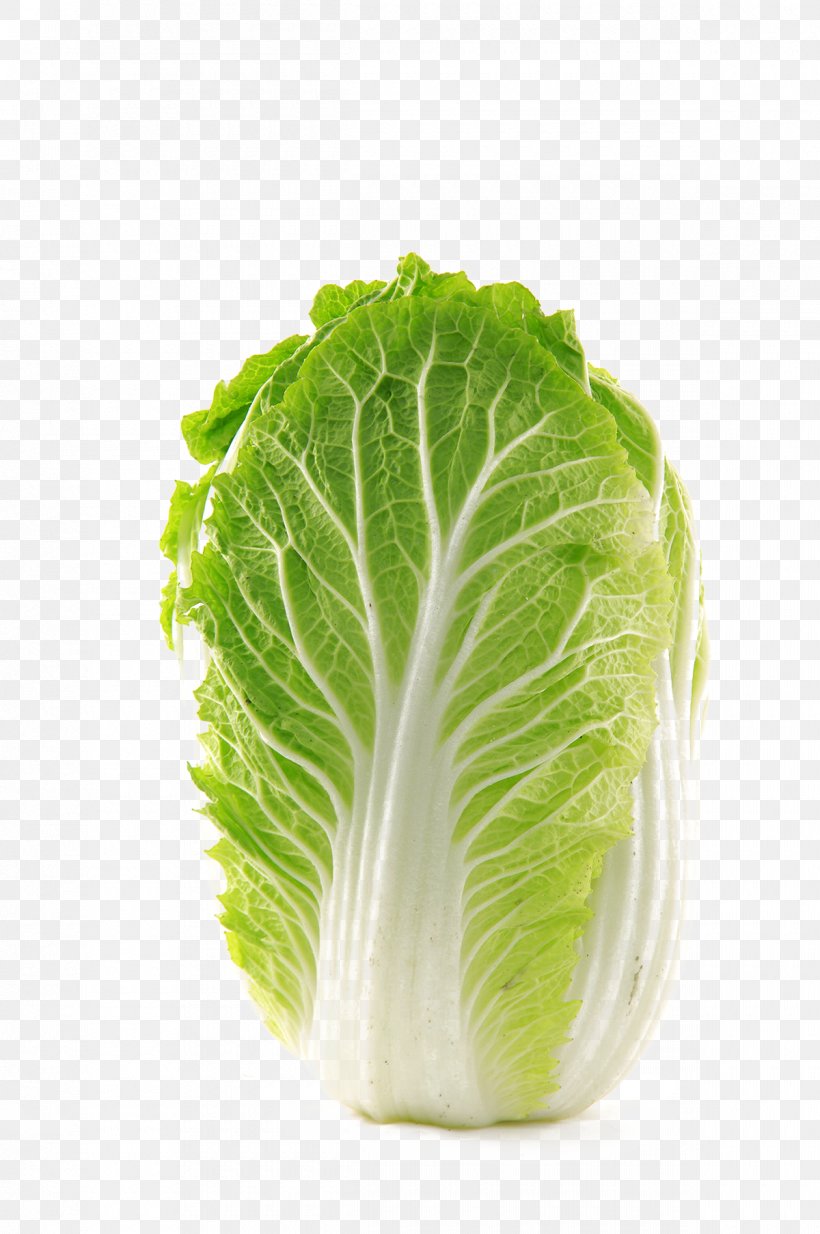 Napa Cabbage Vegetable Chinese Cabbage Food, PNG, 1200x1807px, Chinese Cabbage, Cabbage, Chard, Choy Sum, Collard Greens Download Free