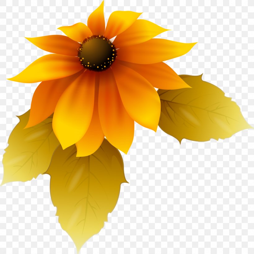 Yellow Sunflower Petal Adobe Photoshop, PNG, 1280x1280px, Yellow, Blackeyed Susan, Daisy Family, English Marigold, Flower Download Free