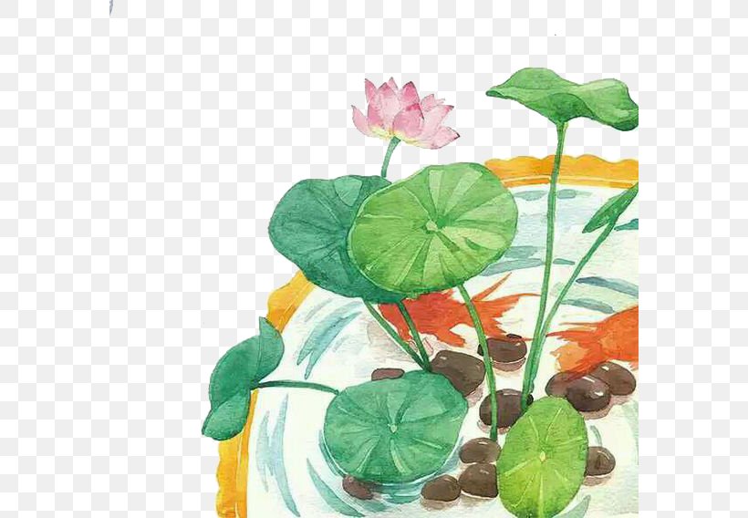 Cartoon Flower Illustration, PNG, 580x568px, Cartoon, Annual Plant, Art, Film, Floral Design Download Free