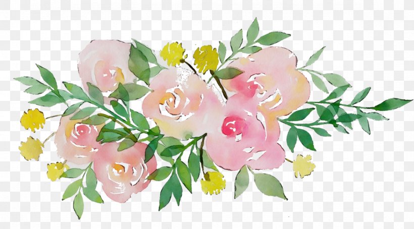 Rose, PNG, 1177x652px, Watercolor, Branch, Cut Flowers, Flower, Paint Download Free