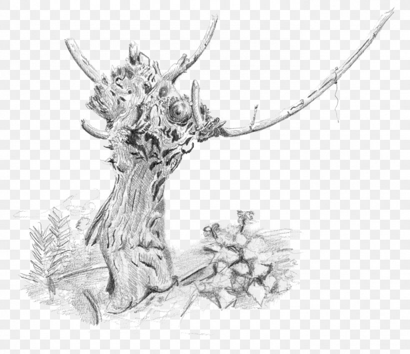 Vigne Sketch Drawing Bacelo Illustration, PNG, 1387x1200px, Vigne, Antler, Art, Artwork, Bacelo Download Free