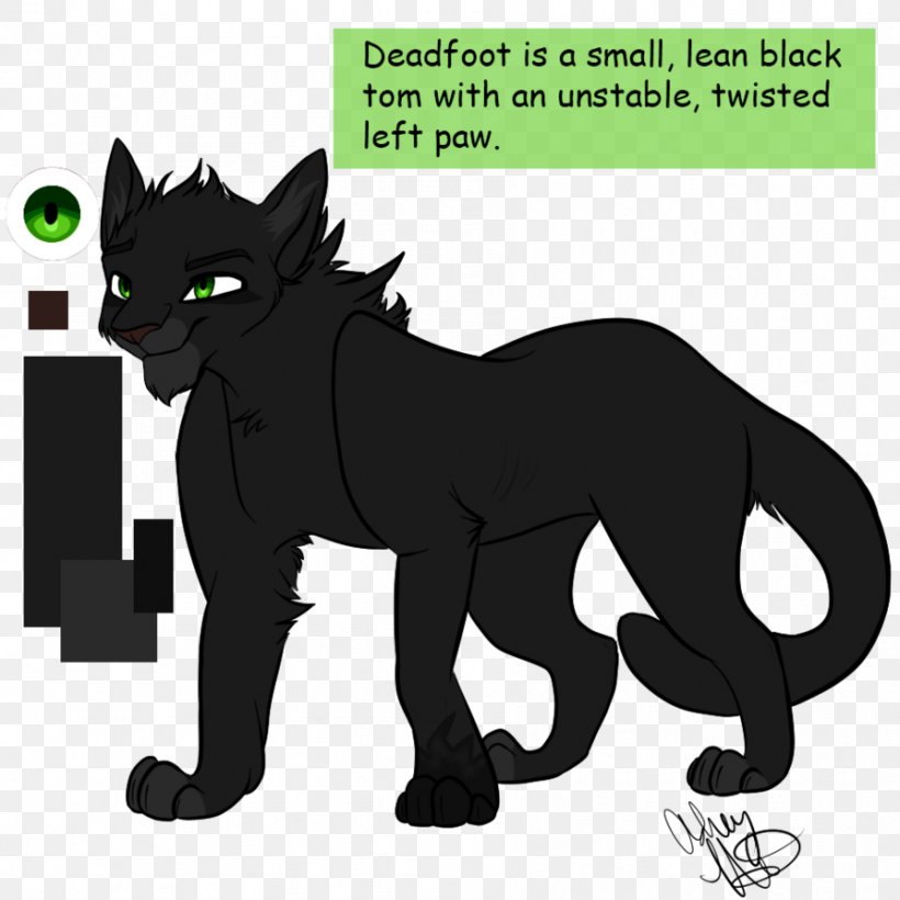 Cat Warriors Dark River Erin Hunter Hollyleaf, PNG, 894x894px, Cat, Ashfoot, Big Cats, Black And White, Black Panther Download Free