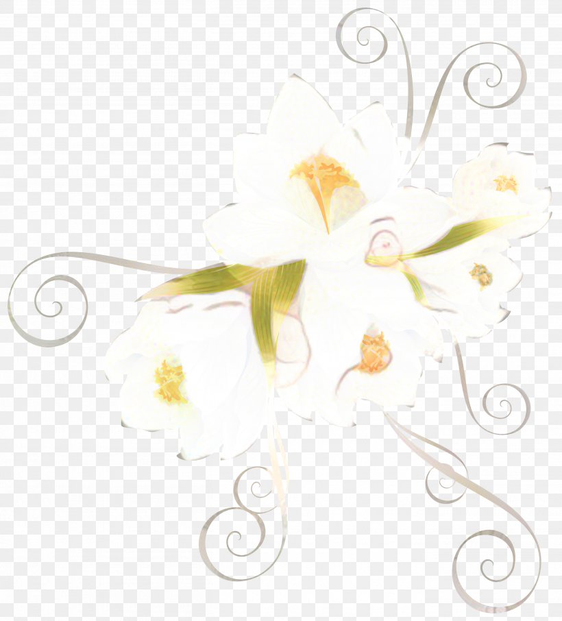 Floral Flower Background, PNG, 2715x3000px, Petal, Branch, Camomile, Closeup, Computer Download Free